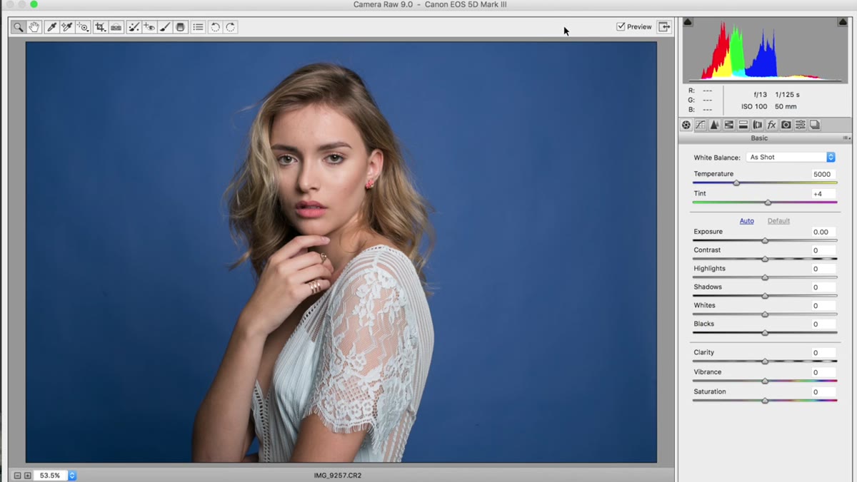 Camera Raw window open with raw portrait file loaded