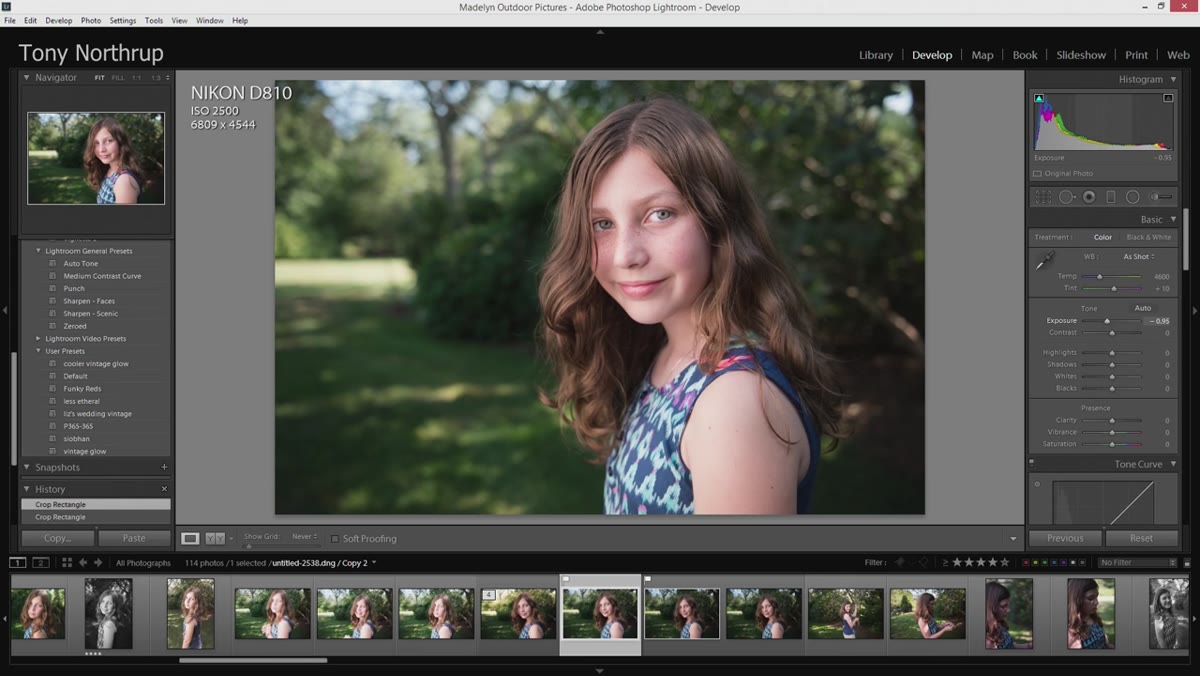 Exposure slider lowered slightly in the Develop module