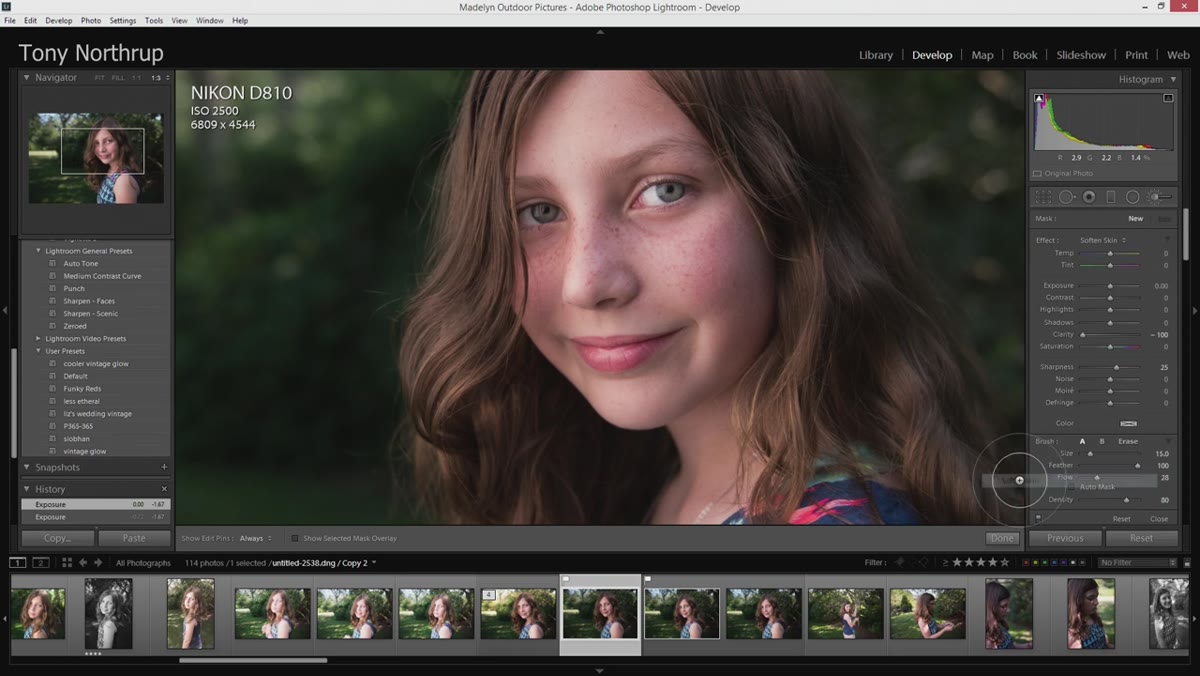 Soften Skin preset selected in adjustment brush panel