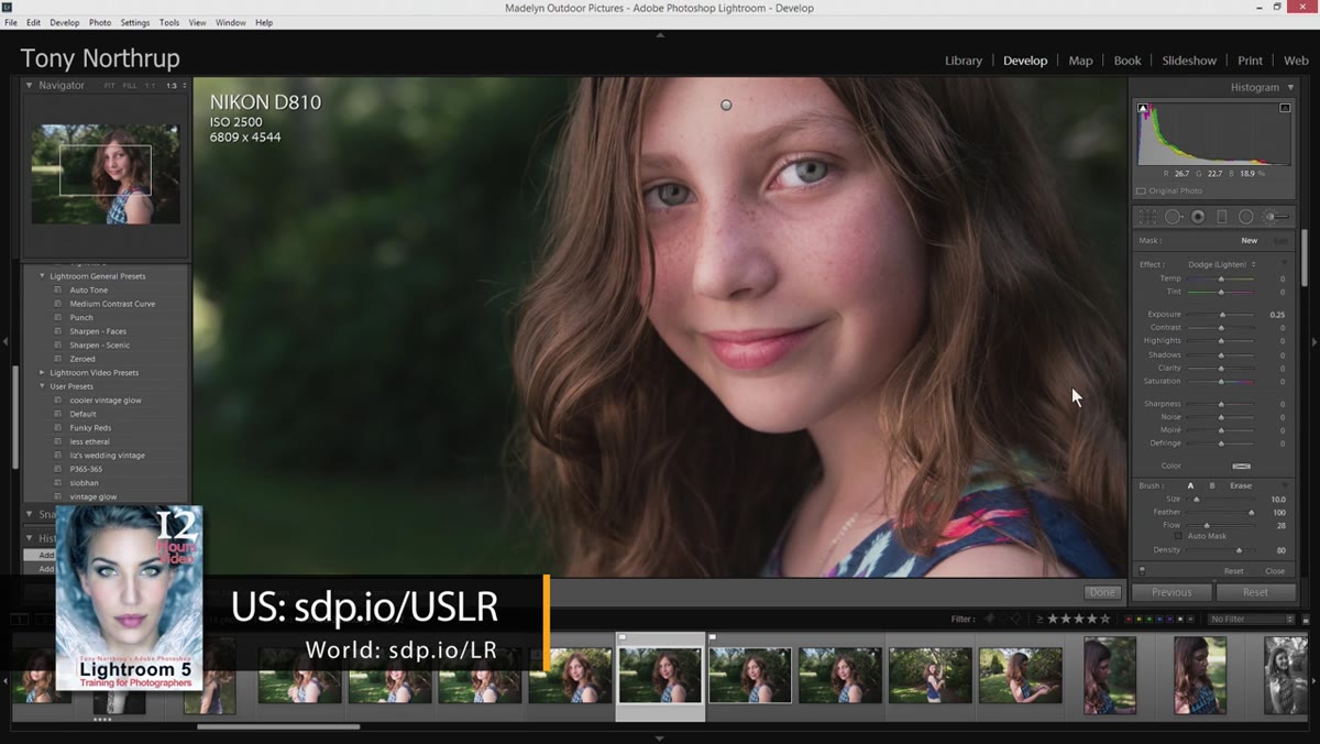 Dodge preset applied via adjustment brush across full face