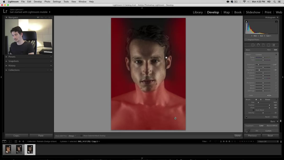 Mouse hovering over pin showing painted mask overlay