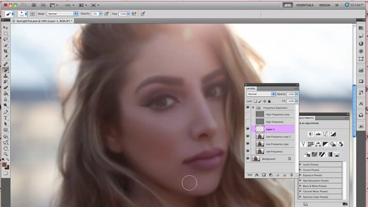 Layer visibility toggled off to show before state of the cheek correction