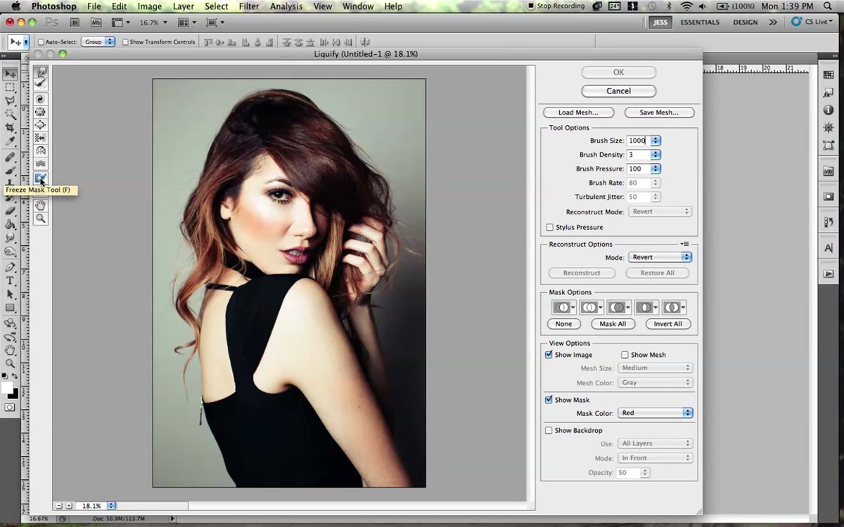 Using freeze mask tool to paint over the face in Liquify