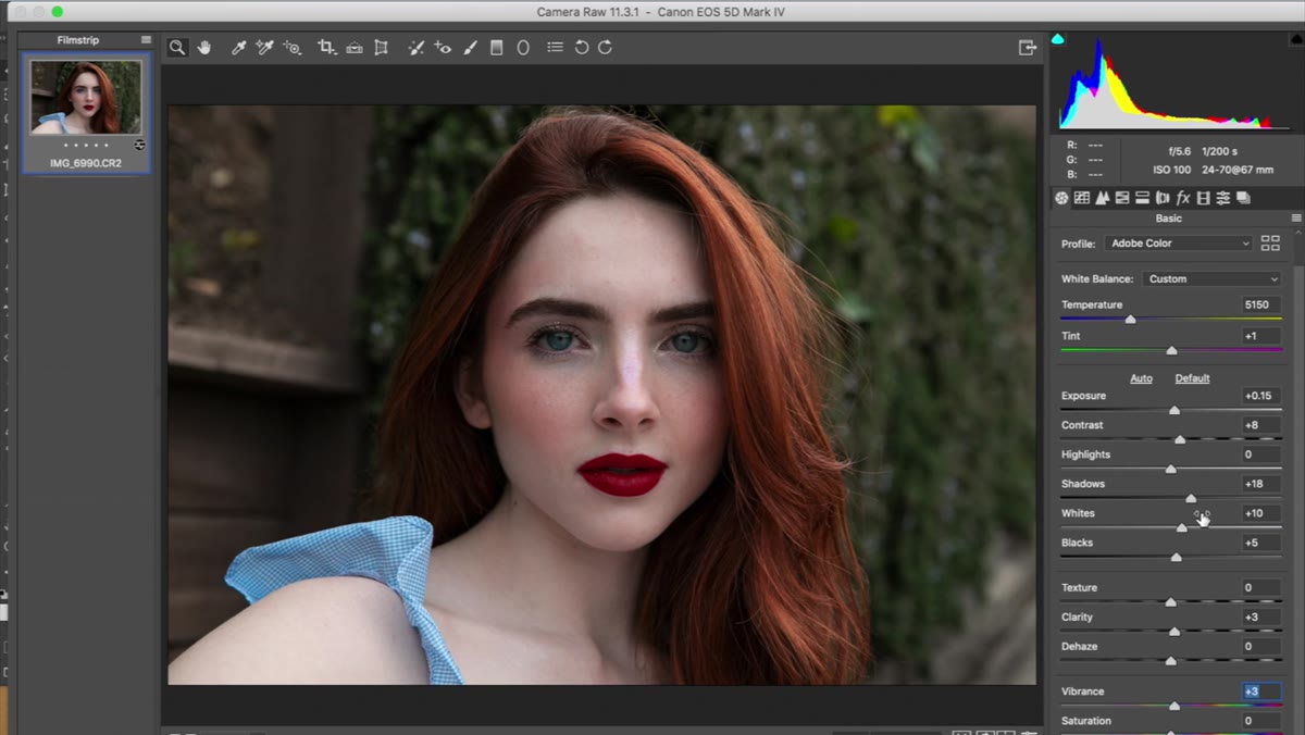 Basic panel sliders with highlights pulled down, shadows lifted