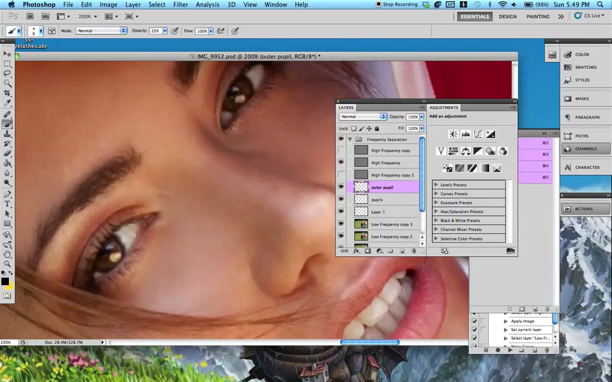 Black soft brush outlining the outer iris ring