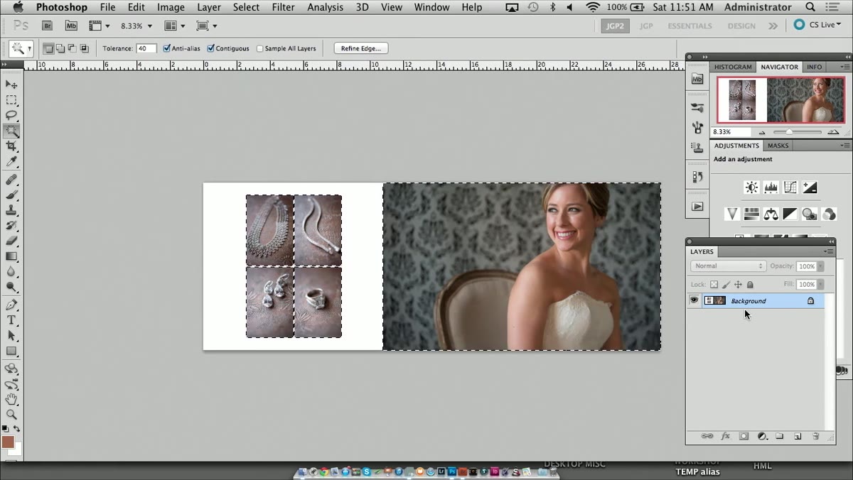 Quick Selection Tool isolating subject from background
