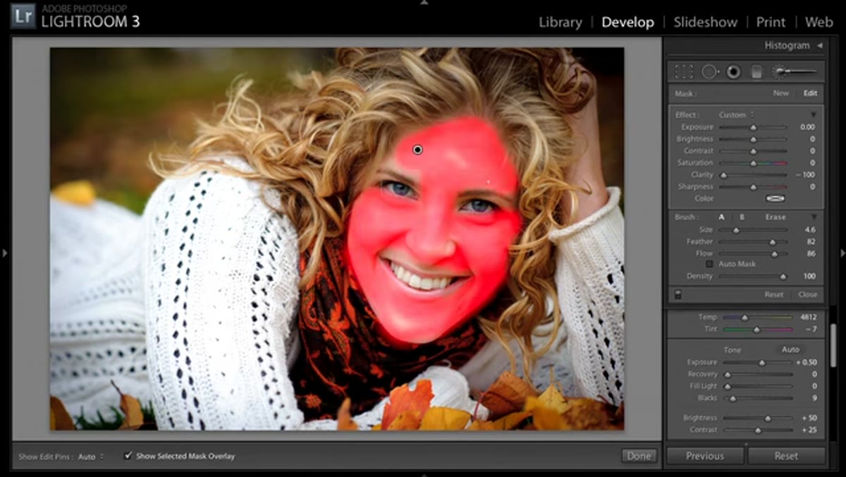 Red mask overlay showing painted areas across the face