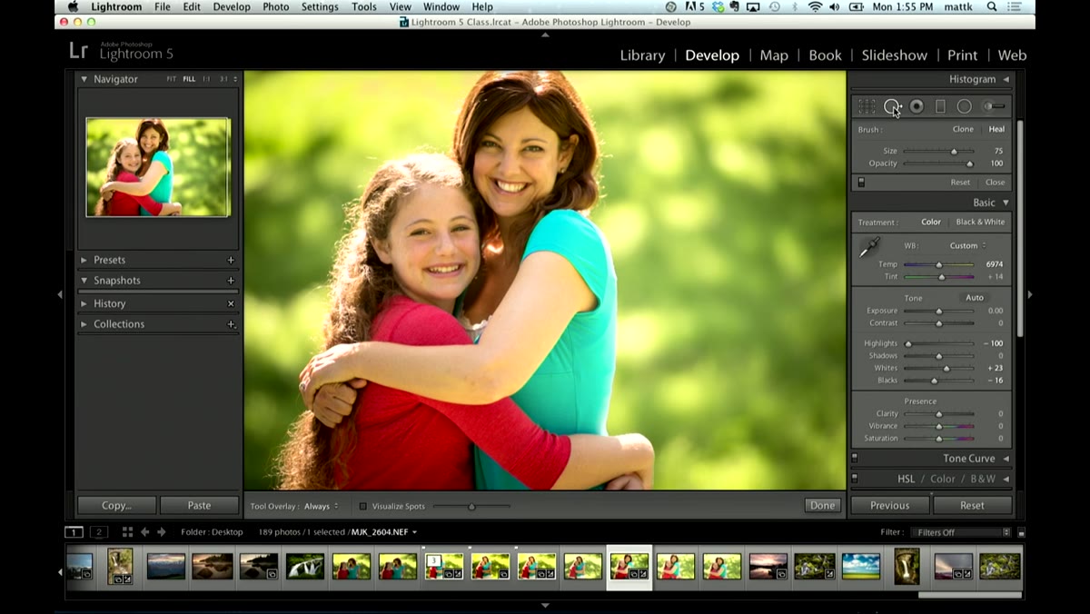 Spot Removal tool selected in Lightroom Develop module toolbox