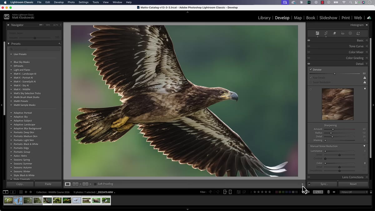 Multiple photos selected in filmstrip with Sync button visible