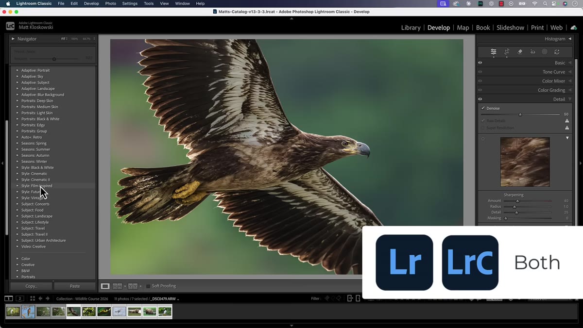 Film-inspired presets visible in the Presets panel
