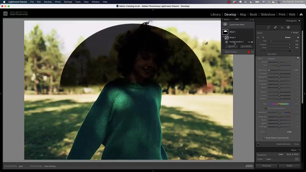 Color range picker being applied to subject selection on portrait