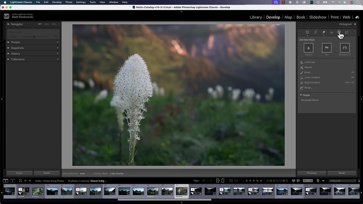 Select Subject option highlighted in the masking menu