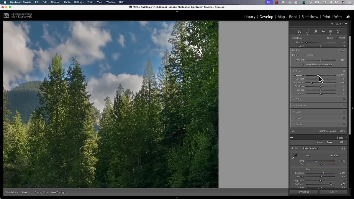 Zoomed view showing mushy tree edges against sky selection