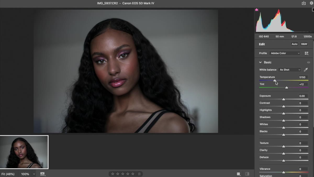 Camera Raw panel open with temperature and contrast sliders visible