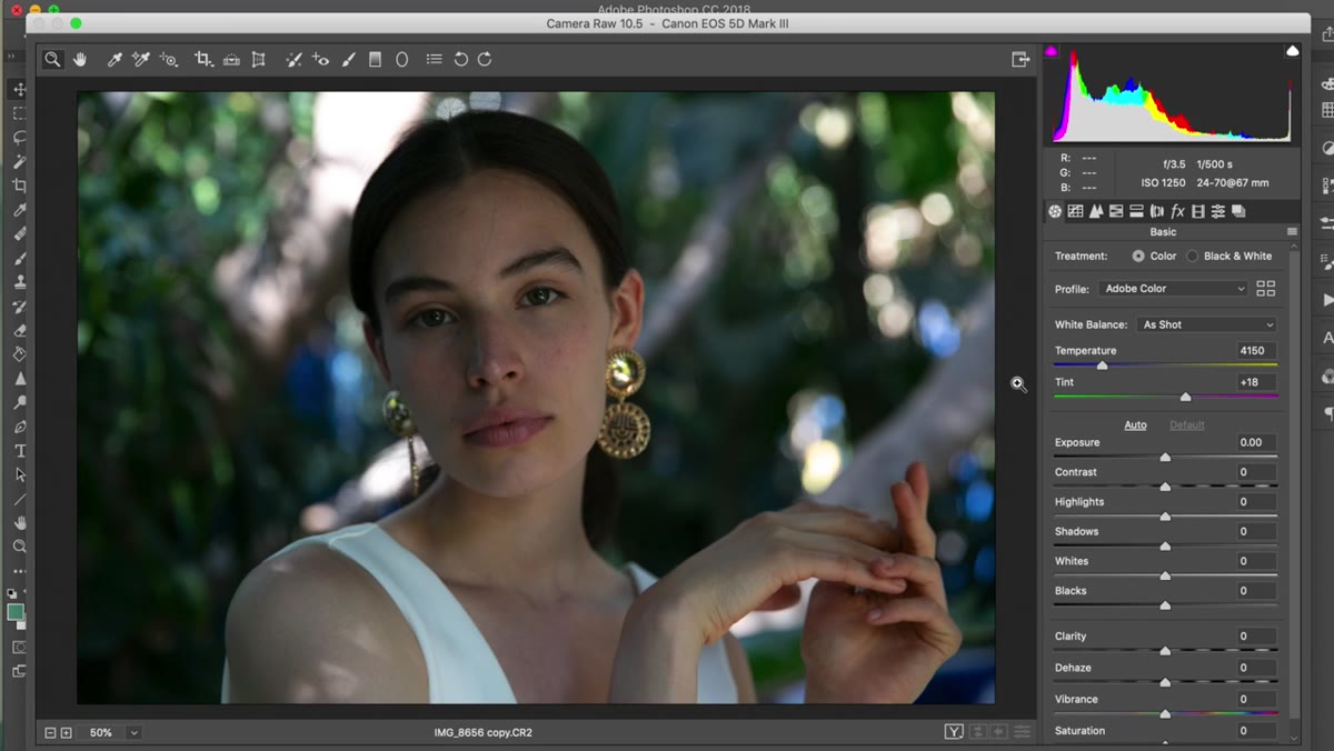 Camera Raw panel open with RAW fashion portrait loaded