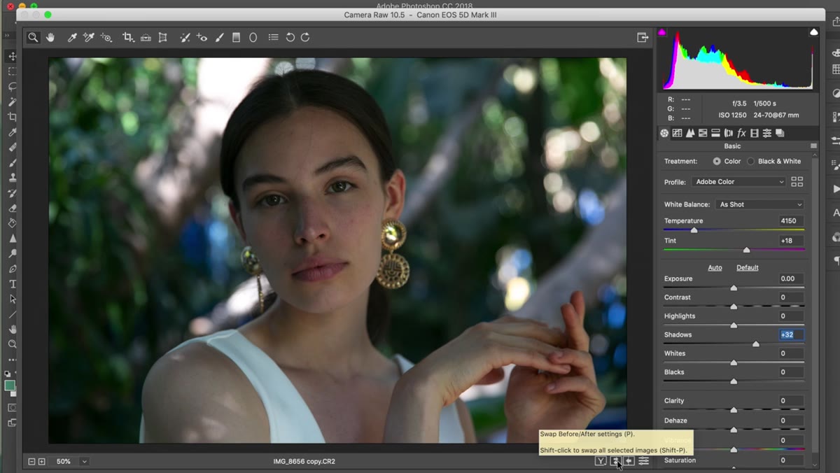Shadows slider being pulled right in Camera Raw Basic panel