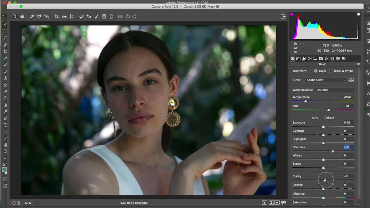 Clarity slider adjusted slightly in Camera Raw