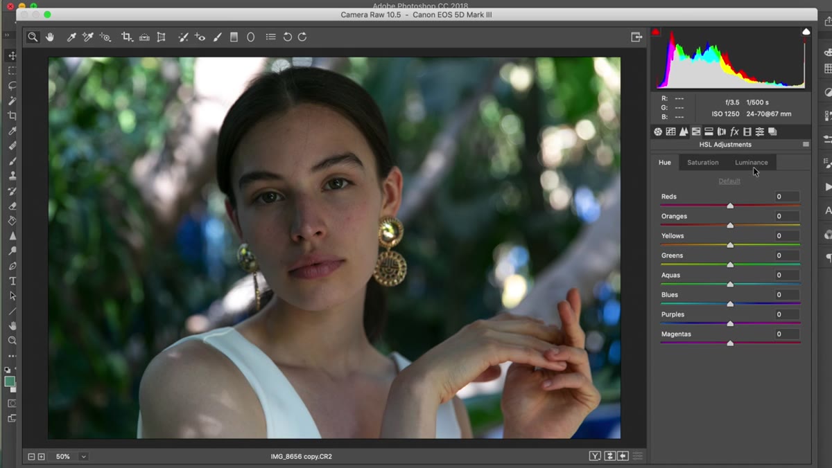 HSL panel open, Hue tab selected with yellow and green sliders pulled down