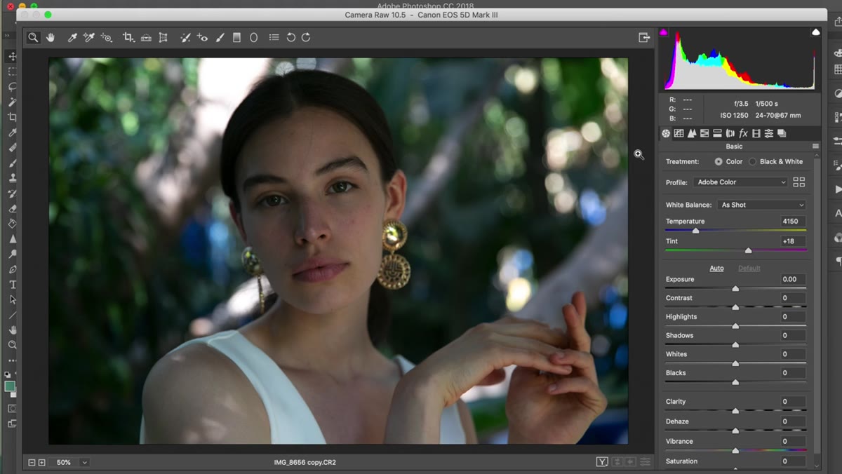 Open Image button at bottom right of Camera Raw dialog