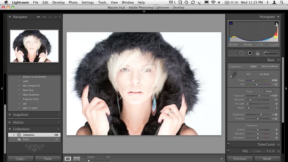 Basic panel in Lightroom Develop module with Temperature and Tint sliders visible