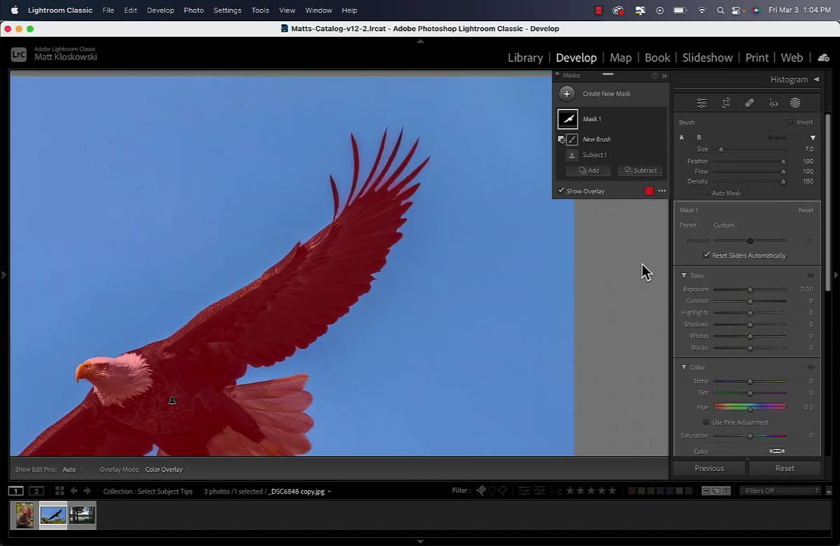 Brush settings panel showing Feather at 100, Flow and Density at 100