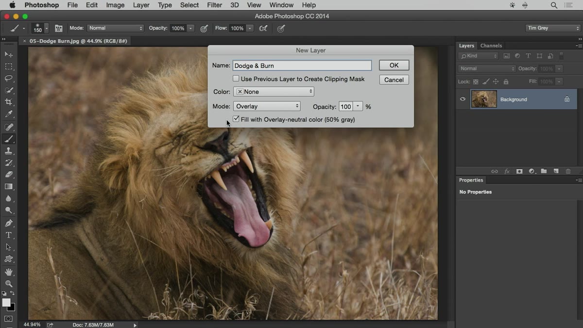 Checkbox &ldquo;Fill with Overlay-neutral color&rdquo; highlighted in dialog