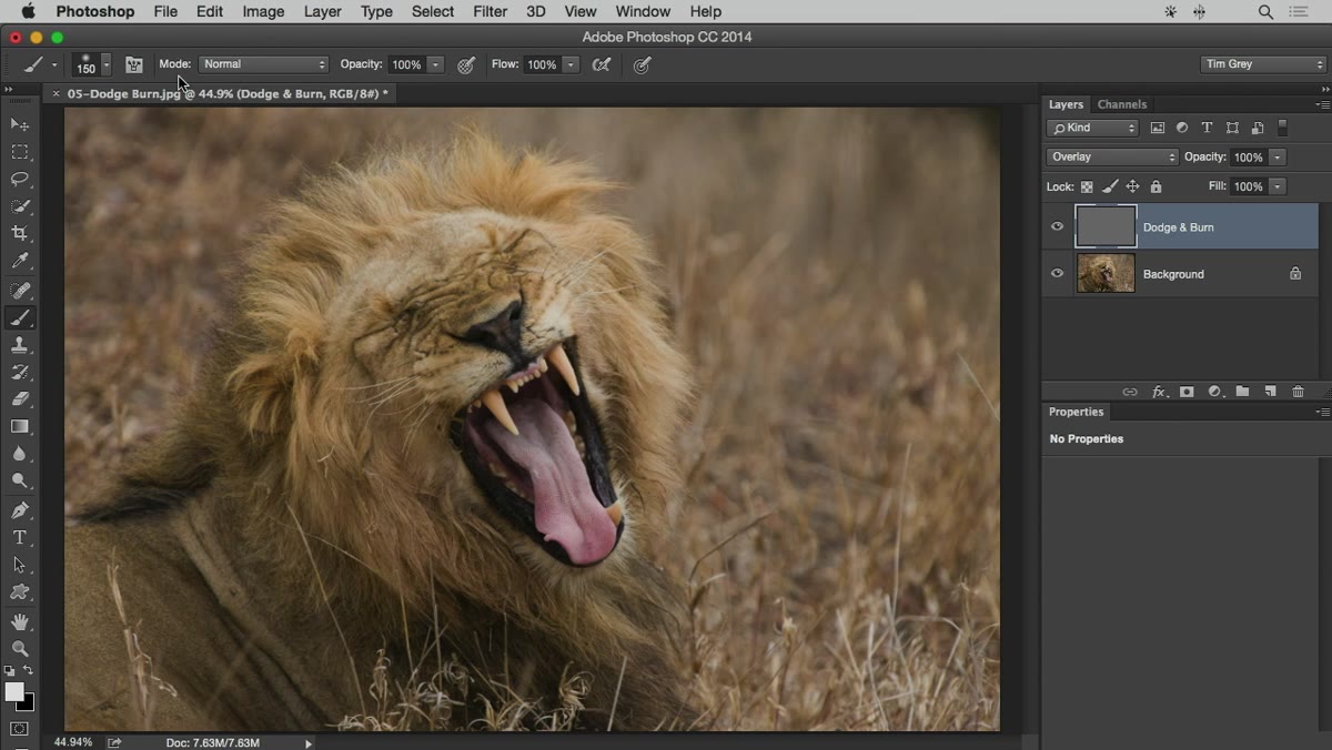 Brush options bar showing Normal blend mode and opacity at 20%