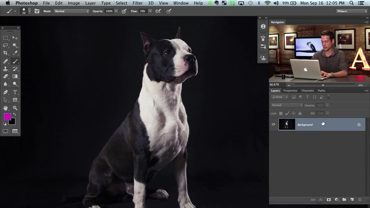 Duplicating the background layer in the Layers panel