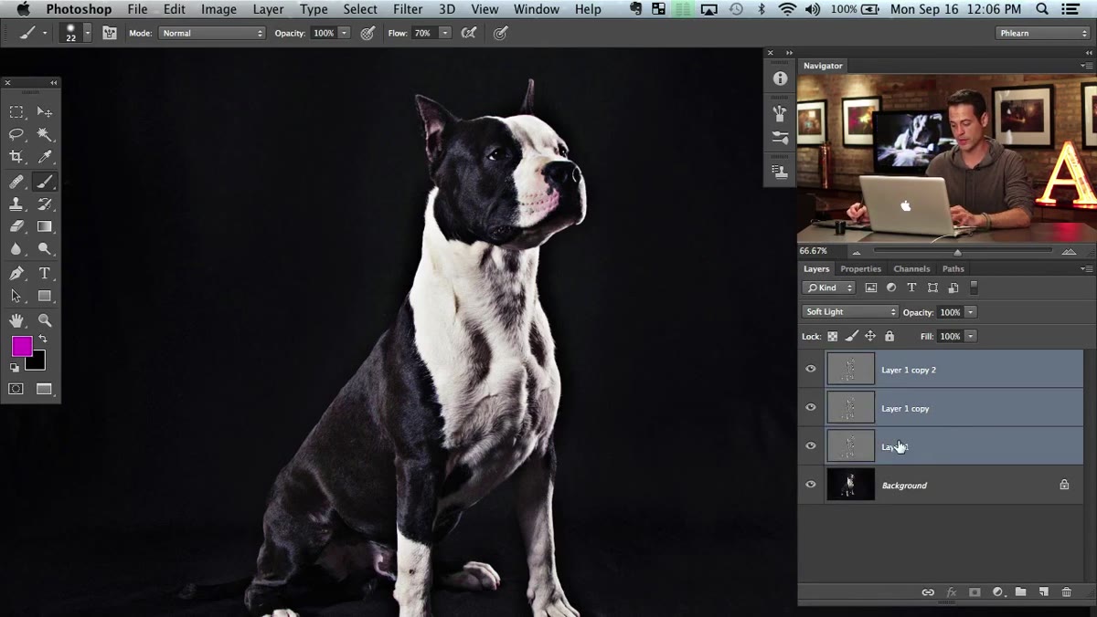 Grouped layers with black layer mask applied in panel