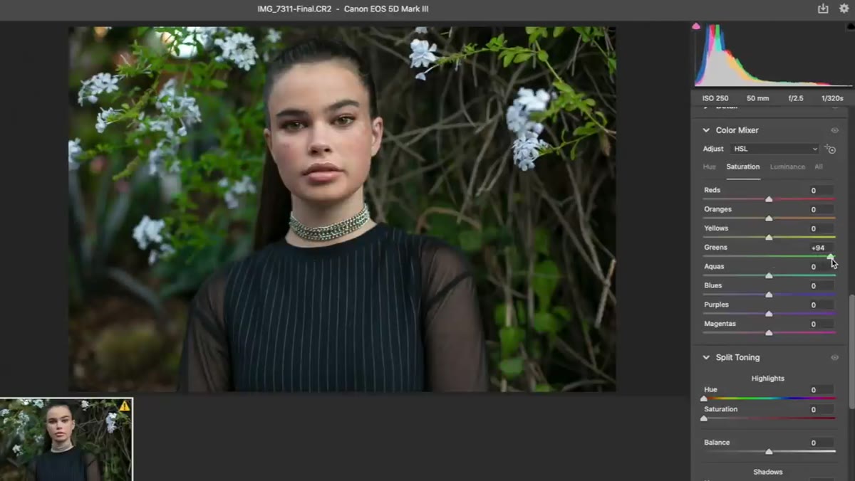 HSL panel open with green hue and luminance sliders being adjusted