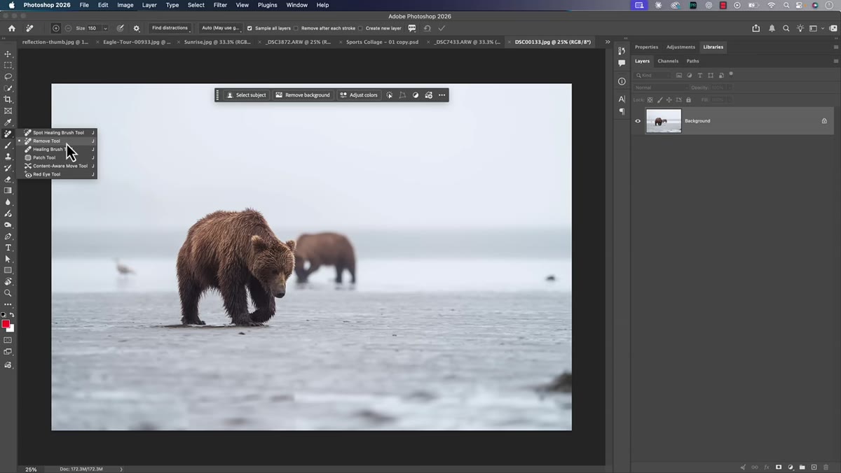 Remove Tool selected in Photoshop toolbar with photo open