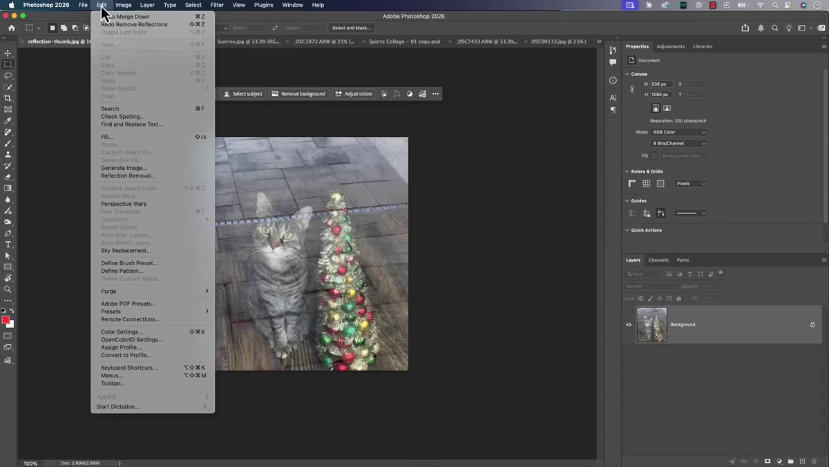 Edit menu open with Reflection Removal option highlighted
