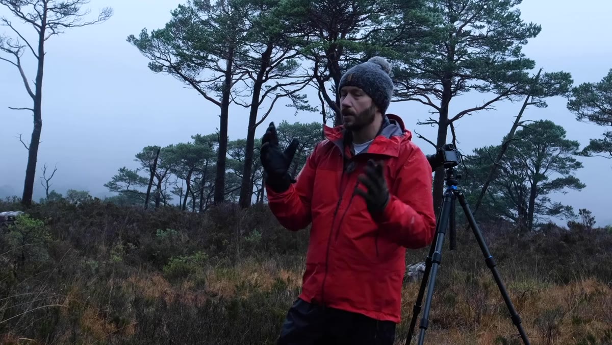 Nigel gesturing toward sparse tree grouping in Scottish pine forest