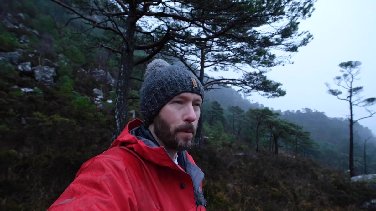 Distant hillside trees partially obscured by rolling mist near Torridon