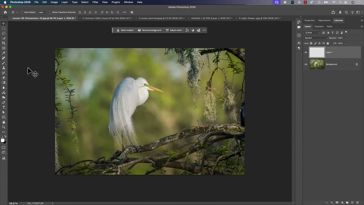 Empty layer added above background layer in Layers panel