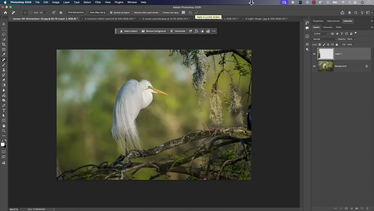 Layers panel showing blank layer with removal work above background