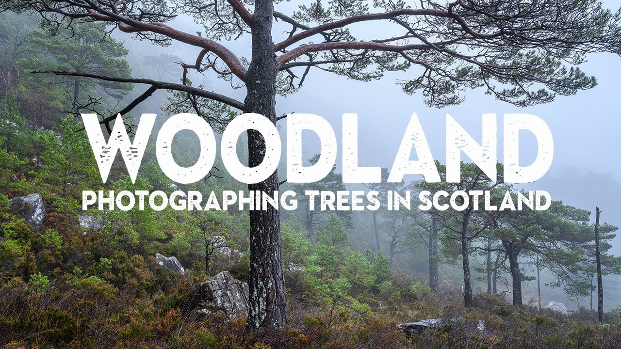 What Woodland Photography Taught Me About Seeing Light Differently (Nigel Danson Breakdown)