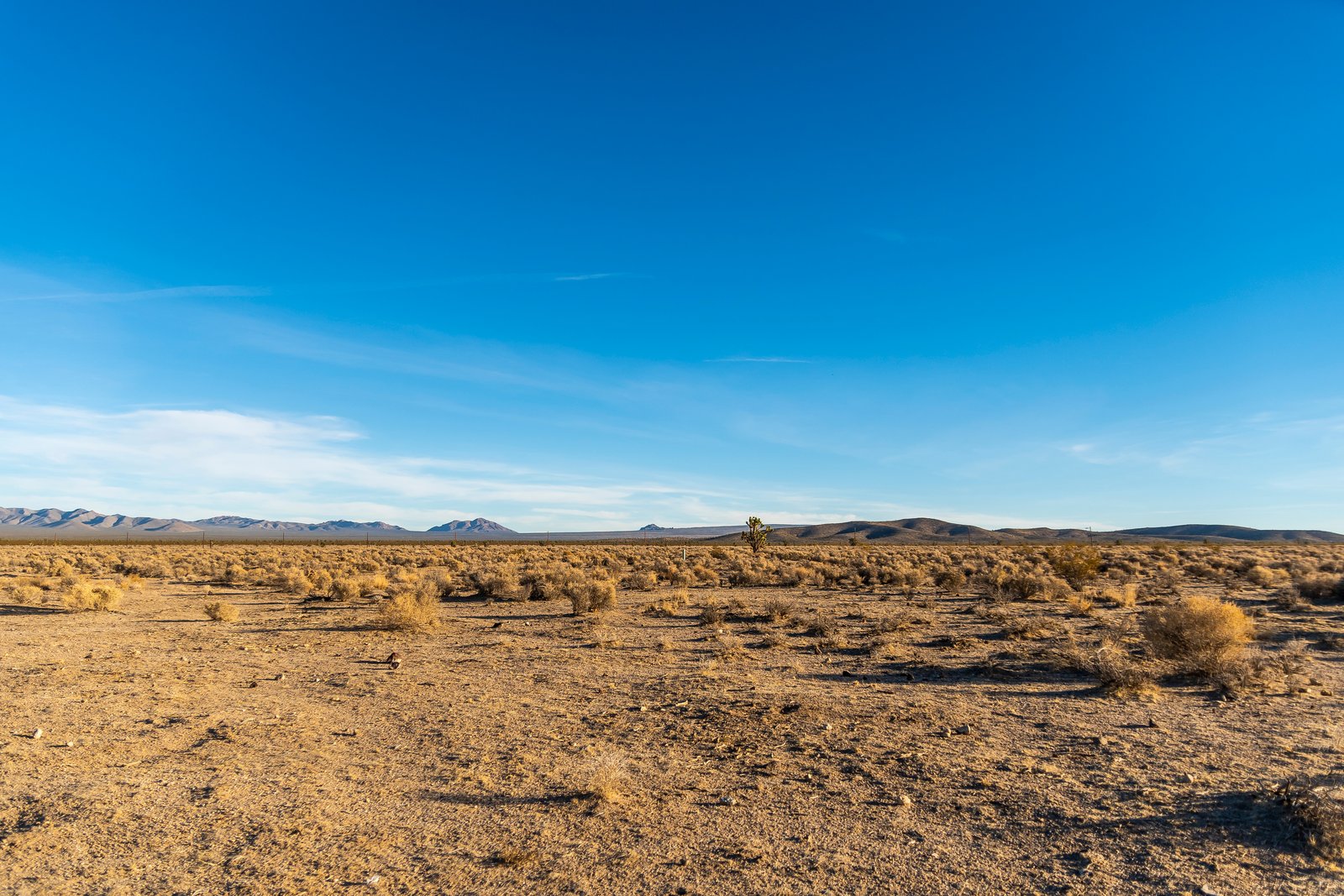 Why Desert Landscapes Demand Better Skin Retouching: A Beauty Editor's Take